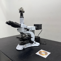 AmScope Upright Compound Microscope image 1